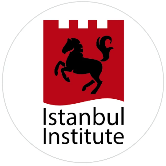 Istanbul Institute