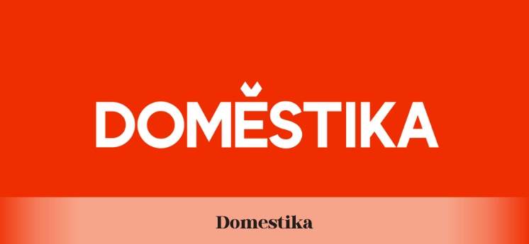 domestika-online-course